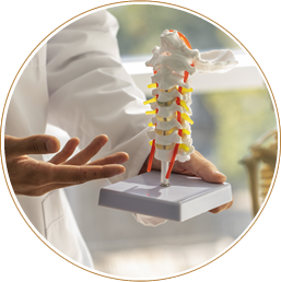 Mr Spine脊椎先生-物理治療所,整脊,台中物理治療所,台中整脊,大里物理治療所,大里整脊