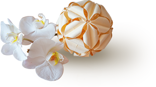 茉莉拉拉肌膚管理美學-做臉,清粉刺,台中做臉,台中清粉刺,西屯區做臉