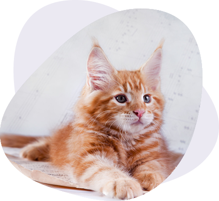 https://www.allencattery.com/album/class.php?gid=3732