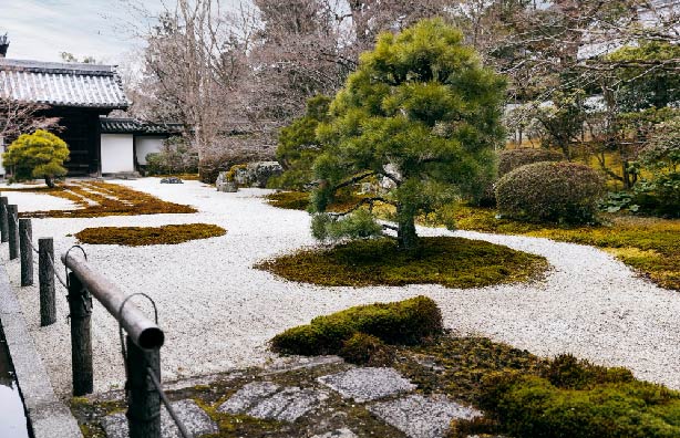 八駿景觀有限公司-景觀工程,桃園景觀工程,龜山景觀工程,台北景觀工程,