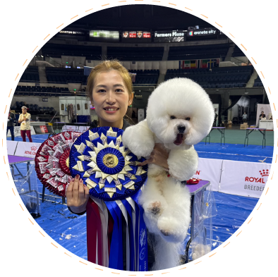 比比熊寵物美容-寵物美容店,寵物美容師培訓,彰化寵物美容店,員林寵物美容店