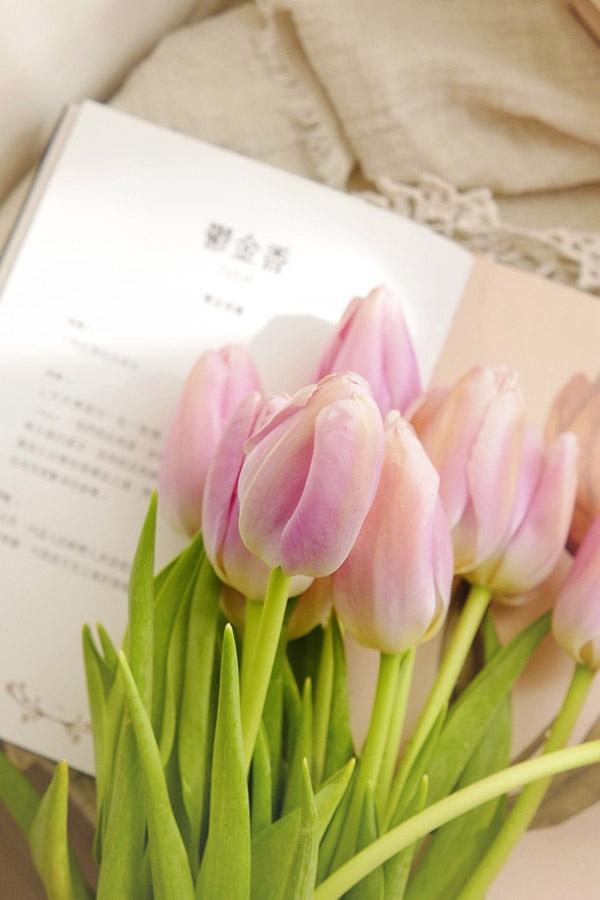 小室花滿-花藝課程,花藝課程推薦,台中花藝課程,北屯花藝課程