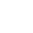 車內美容