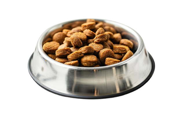 狗糧飯碗