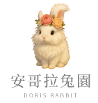 安哥拉兔園-寵物店,兔子寵物店,安哥拉兔,台北安格拉兔,蘆洲買兔子
