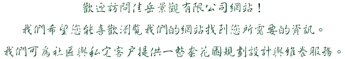 佳岳景觀有限公司-台北景觀造景-南方松地板