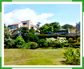 佳岳景觀有限公司-台北景觀造景-南方松地板