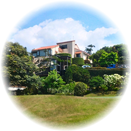 佳岳景觀有限公司-台北景觀造景-南方松地板