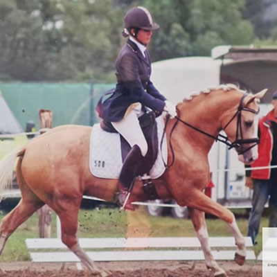 JS馬術教育工作室-馬術教學,馬術課程,台北馬術課程,台北馬術教學,