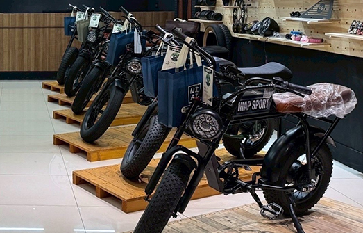 NIAP復古電輔腳踏車-電動車,電輔車,電動腳踏車,新竹電動腳踏車,湖口電動腳踏車