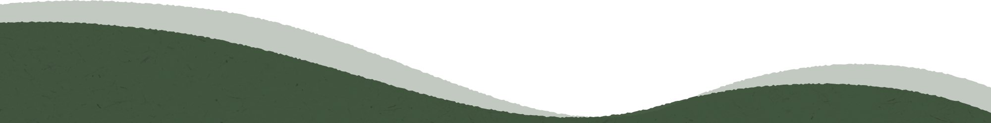 田爸手工滴雞精-手工滴雞精,台中手工滴雞精,北屯手工滴雞精