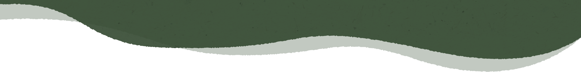 田爸手工滴雞精-手工滴雞精,台中手工滴雞精,北屯手工滴雞精